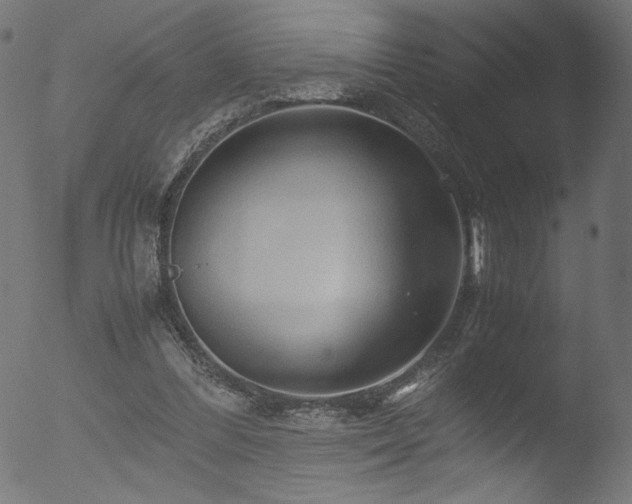 X0000053090300200507111204