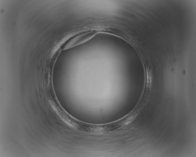 X0000053090301200507111204