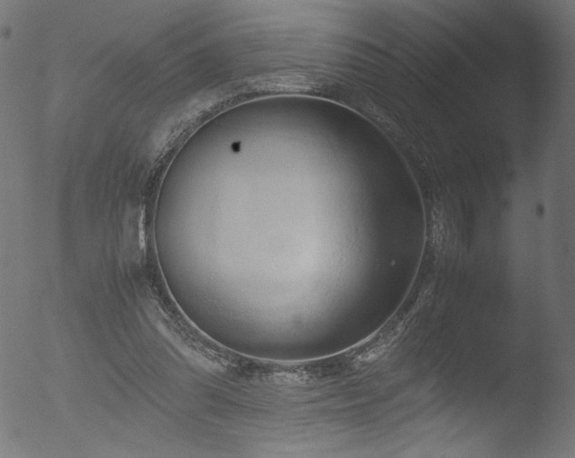 X0000053090302200507111204