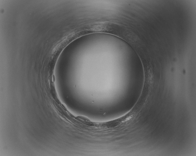 X0000053090303200507111204