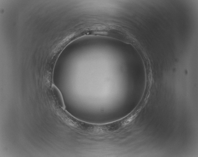 X0000053090305200507111204