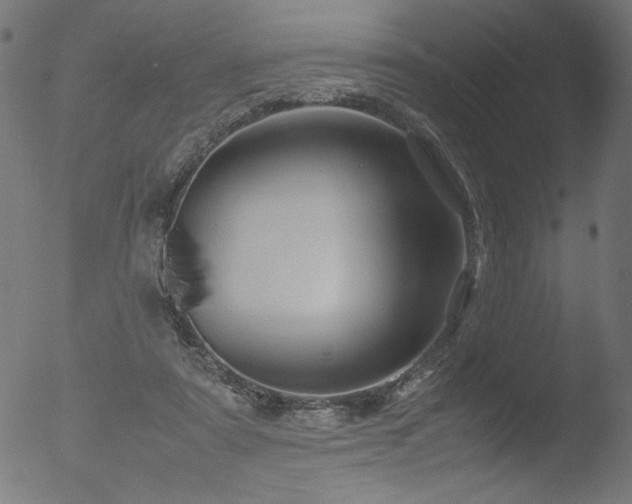 X0000053090307200507111204