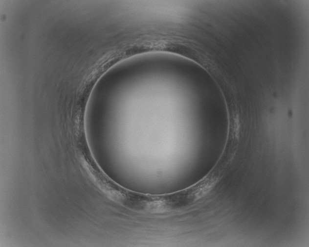 X0000053090309200507111204