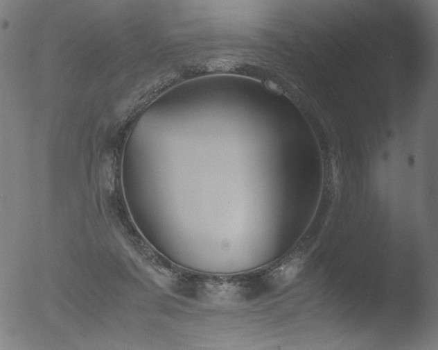 X0000053090311200507111204