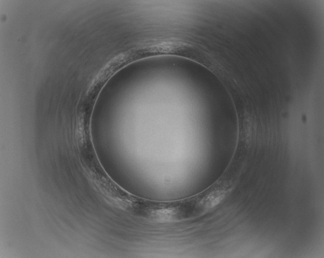 X0000053090312200507111204