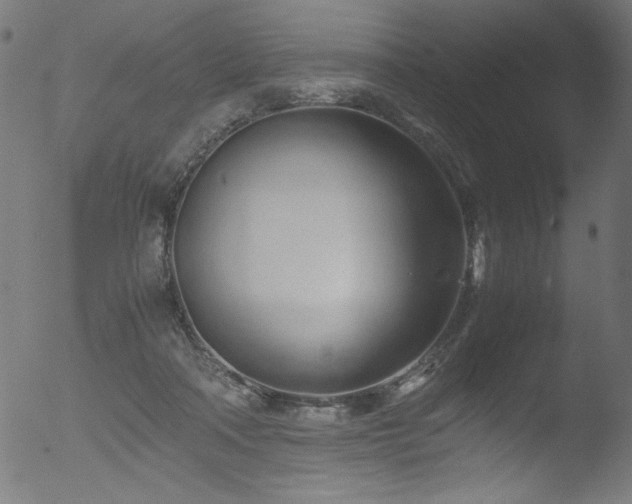 X0000053090314200507111204