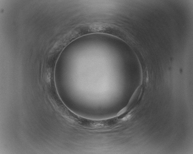 X0000053090315200507111204