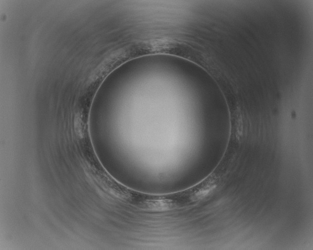 X0000053090316200507111204