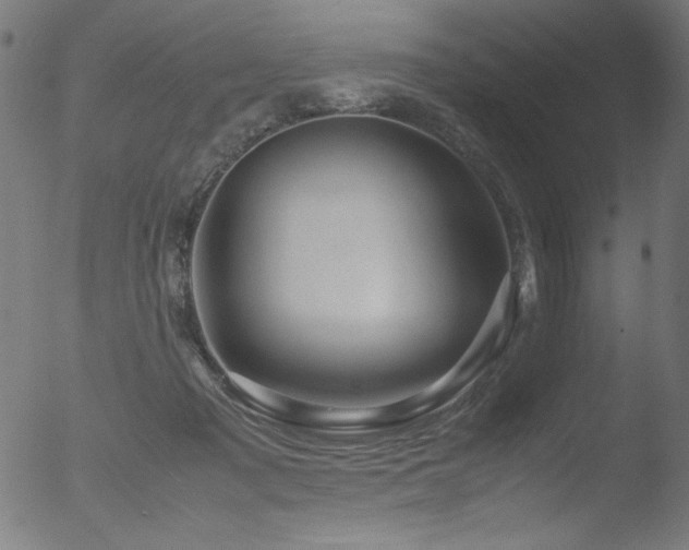 X0000053090317200507111204