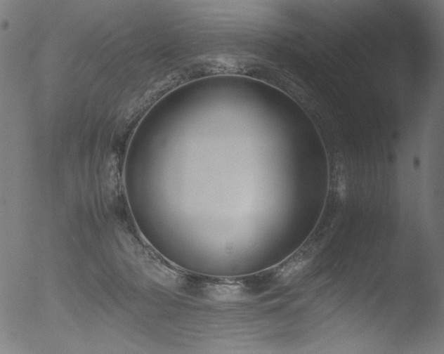 X0000053090318200507111204