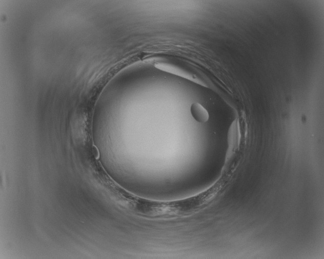 X0000053090319200507111204