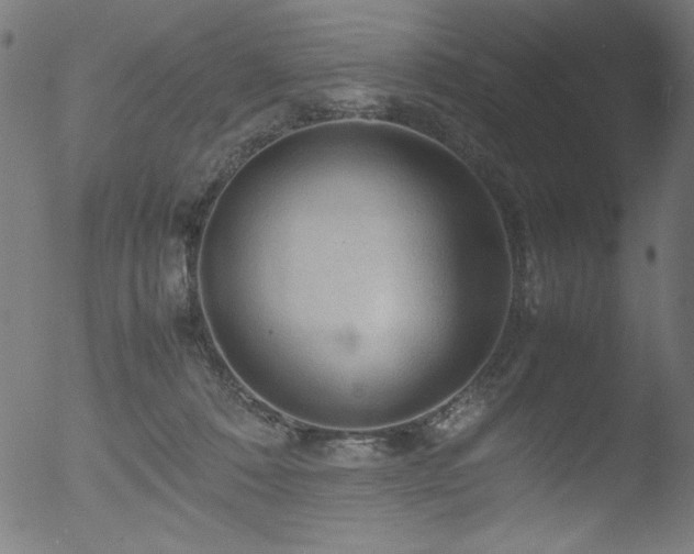 X0000053090320200507111204