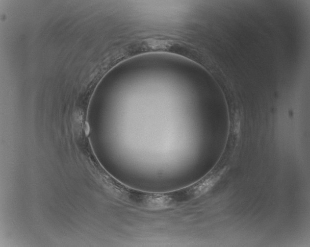 X0000053090321200507111204