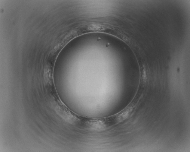 X0000053090322200507111204