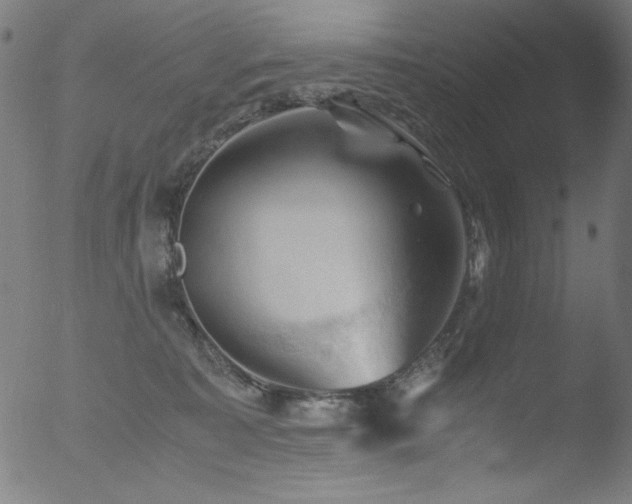 X0000053090323200507111204