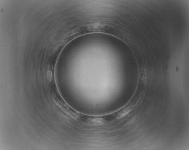 X0000053090324200507111204