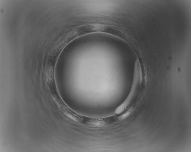 X0000053090325200507111204