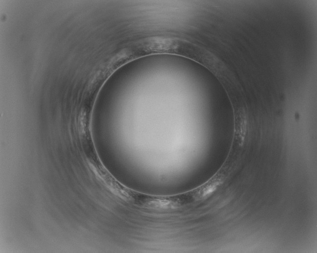 X0000053090326200507111204