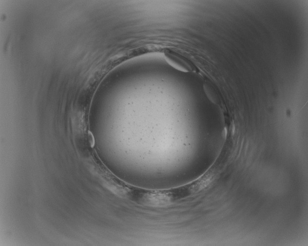 X0000053090327200507111204