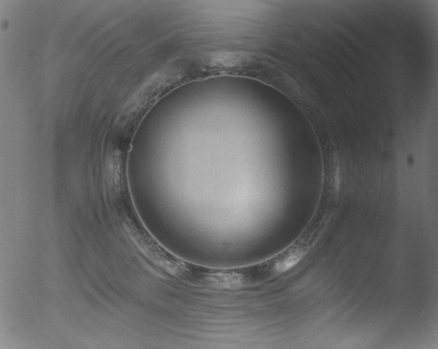 X0000053090328200507111204