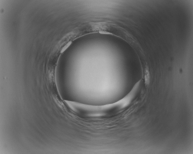 X0000053090329200507111204