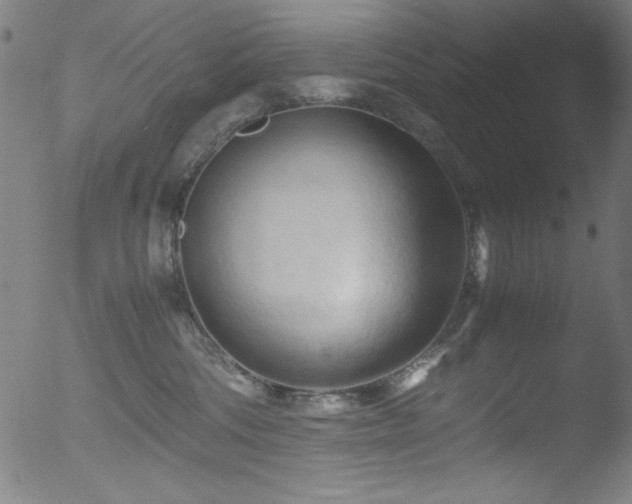 X0000053090330200507111204