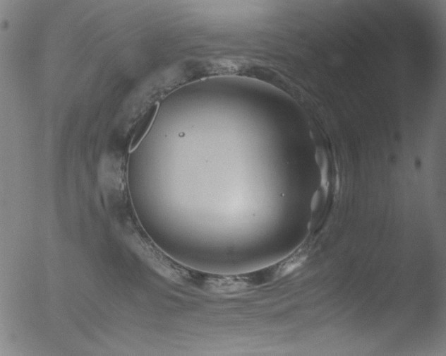 X0000053090331200507111204