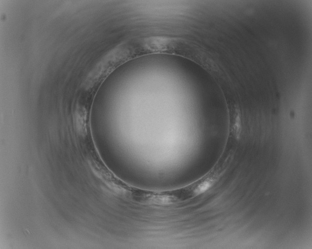 X0000053090332200507111204