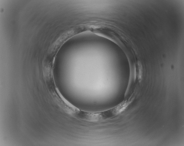 X0000053090333200507111204