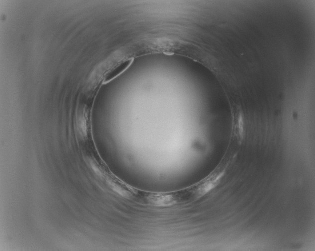 X0000053090334200507111204