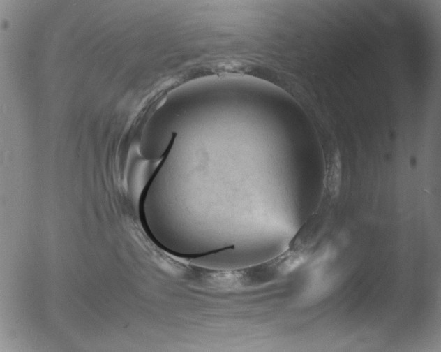 X0000053090335200507111204