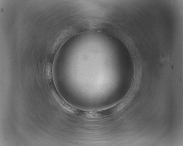 X0000053090336200507111204