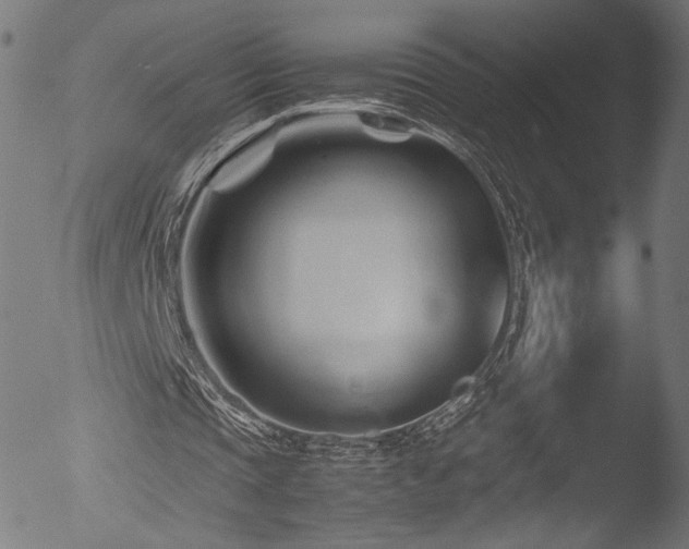 X0000053090337200507111203