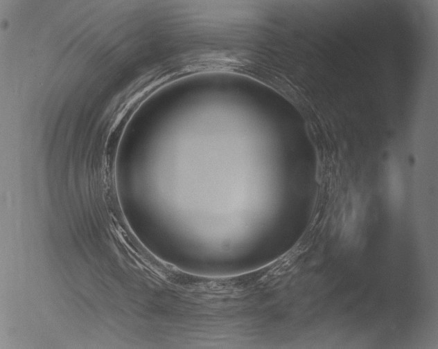 X0000053090338200507111203