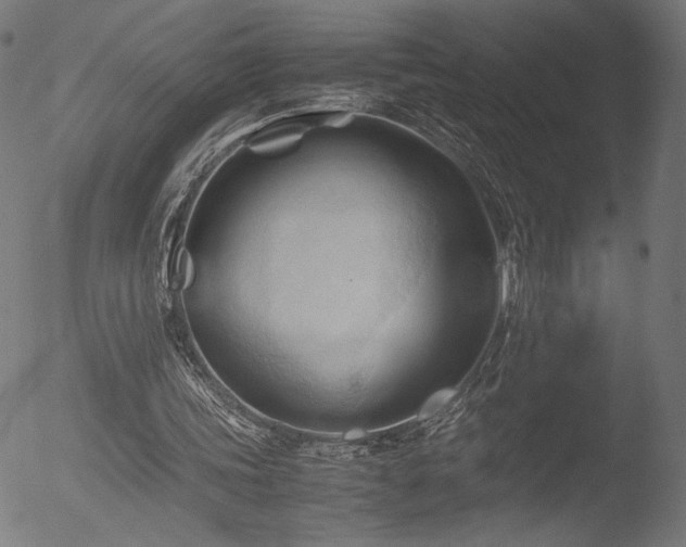 X0000053090339200507111203