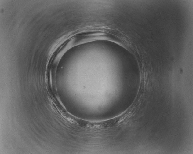 X0000053090340200507111203