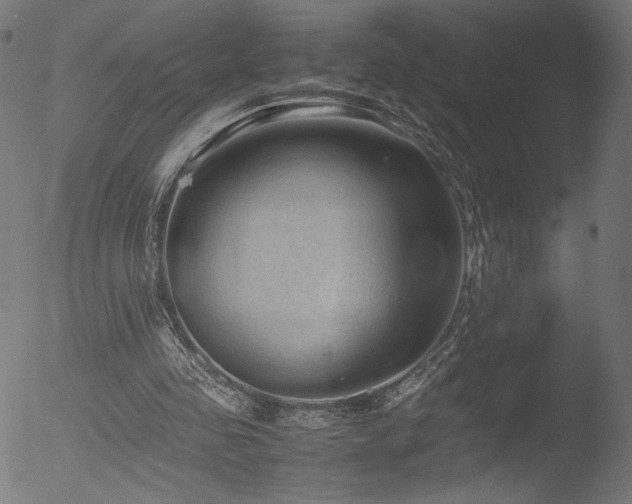 X0000053090341200507111203