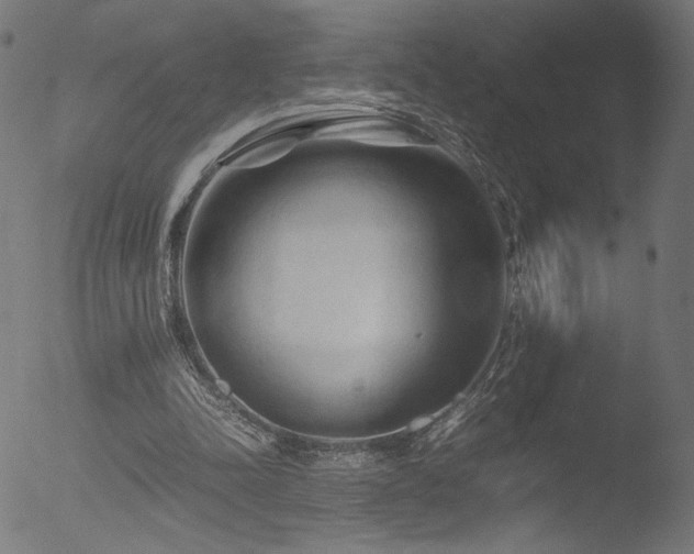 X0000053090342200507111203