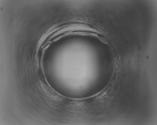 X0000053090343200507111203