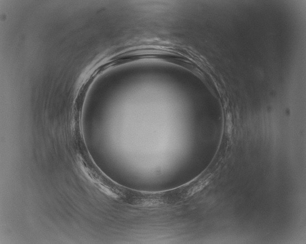 X0000053090344200507111203