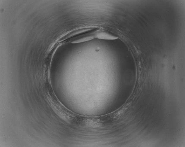 X0000053090346200507111203