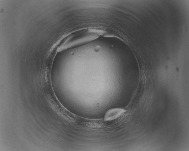 X0000053090347200507111203