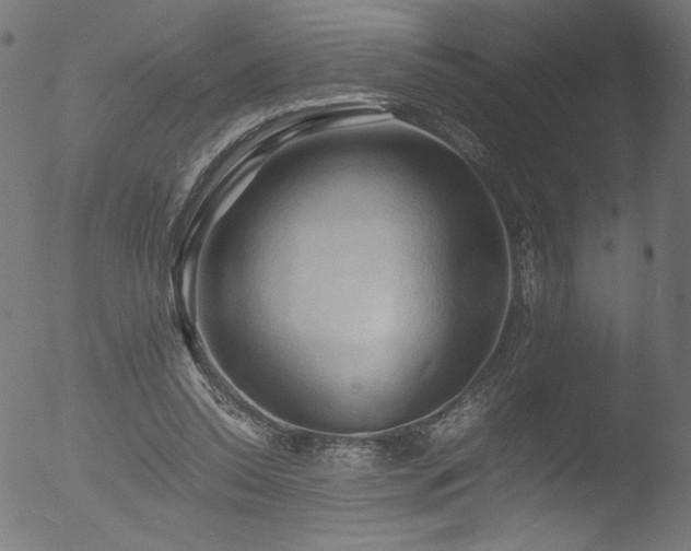 X0000053090350200507111203