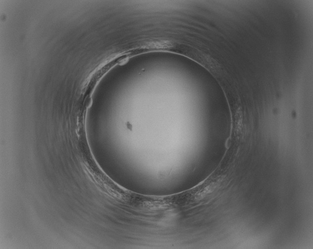 X0000053090351200507111203