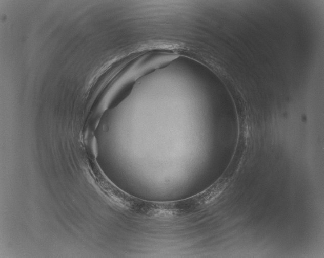 X0000053090352200507111203