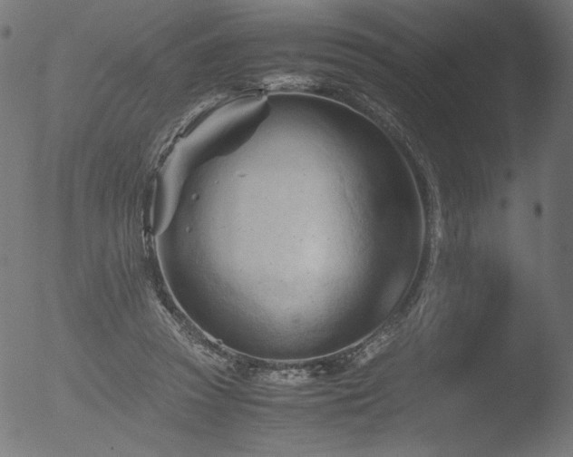 X0000053090353200507111203