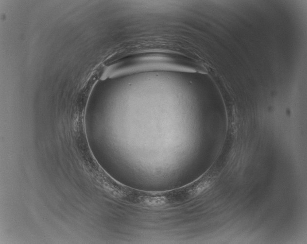 X0000053090355200507111203