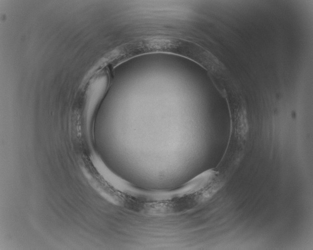 X0000053090356200507111203