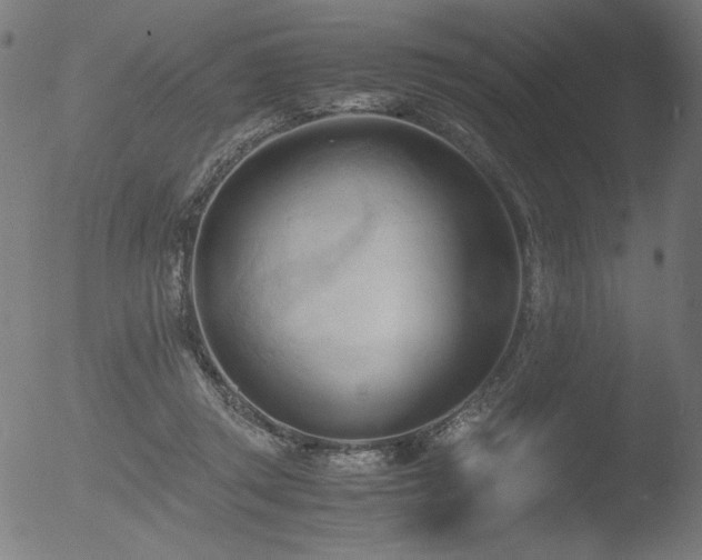 X0000053090357200507111203