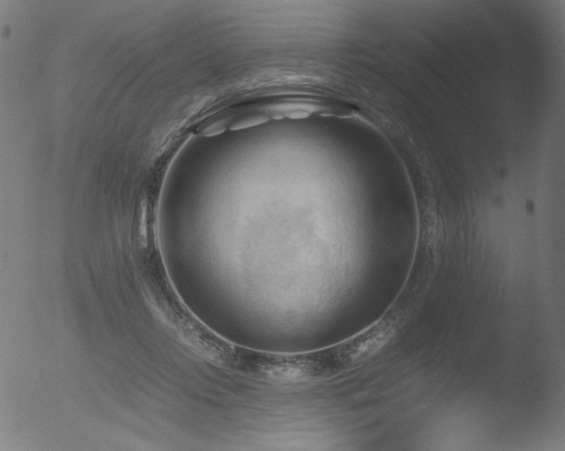 X0000053090358200507111203